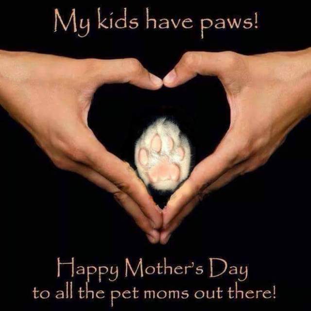 mothersdaypaws